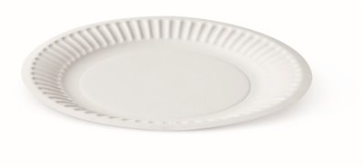7_inch_plate_white_scale